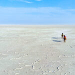 From Vadodara to Rann of Kutch: A Barodian’s Guide to Rann of Kutch