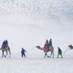 Experience the White Desert with the Best Accommodation Options in the Rann of Kutch